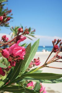 Zakynthos tips